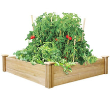Load image into Gallery viewer, 4ft x 4ft Outdoor Cedar Wood Raised Garden Bed Planter Box - Made in USA