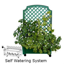 Load image into Gallery viewer, Indoor/Outdoor Green Polypropylene Wheeled Trellis Planter