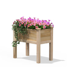 Load image into Gallery viewer, 32 in x 16 in x 31 in Elevated Cedar Wood Raised Garden Bed - Made in USA
