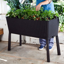 Load image into Gallery viewer, Modern Dark Brown Resin Wicker Raised Garden Bed Planter with Water Indicator
