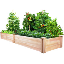 Load image into Gallery viewer, Cedar Wood 2-Ft x 8-Ft Outdoor Raised Garden Bed Planter Frame - Made in USA
