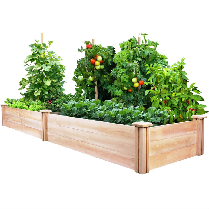 Cedar Wood 2-Ft x 8-Ft Outdoor Raised Garden Bed Planter Frame - Made in USA